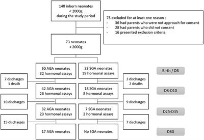 Small for Gestational Age Preterm Neonates Exhibit Defective GH/IGF1 Signaling Pathway